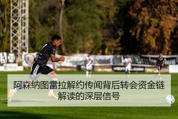 a-sen-na-tu-lei-la-jie-yue-chuan-wen-bei-hou-zhuan-hui-zi-jin-lian-jie-du-de-shen-ceng-xin-hao-2-507.jpg