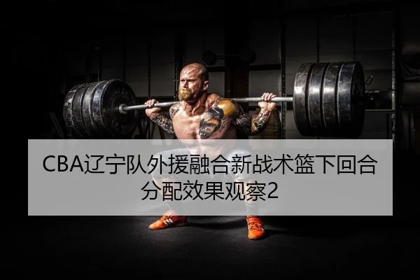 CBA辽宁队外援融合新战术篮下回合分配效果观察2